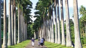 Memorable Tuk Tuk City Tour of Kandy