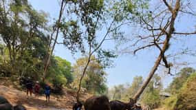Chiang Mai: Bamboo Rafting and Wat Phra That Doi Kham