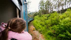 Sri Lanka Private 3-nights Tour Transport, Guide, Hotels
