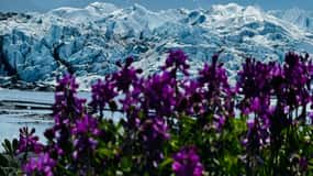 Anchorage: Matanuska Glacier Hike with Transfers