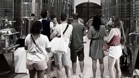 Weinverkostung Saint-Florent & Patrimonio