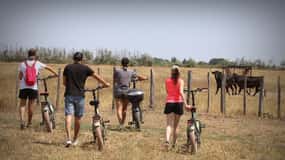 Aigues Mortes: safari en vélo - Recorrido en bicicleta eléctrica por la Camarga