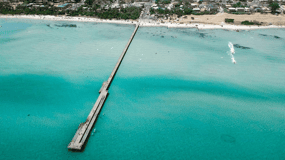 Melbourne: Mornington Peninsula and Moonlit Sanctuary Tour