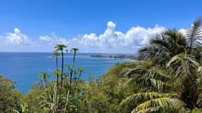 Tahiti: East or West coast tour (Half Day)