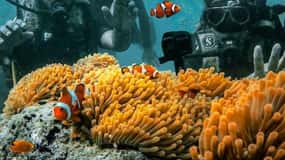 Andaman Adventure with Scuba Diving - 3 Nights 4 Days