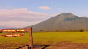 The Authentic Sunset Of Baluran National Park Banyuwangi