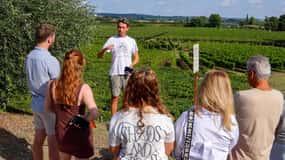 Lazise : Visite culinaire avec dégustation de vins de la région de Garda