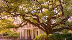 New Orleans Garden District Tour