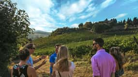 Siena: Organic Winery Tour and Wine Tasting
