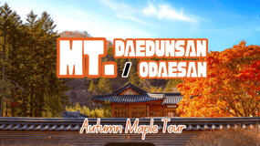 Seoul: Odaesan or Daedunsan Park Autumn Foliage Day Tour