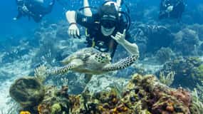 2 Tank Dive in Cozumel’s Marine National Park