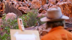 Alice Springs: Simpsons Gap Sunset Corso di pittura ad acquerello