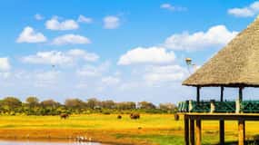 From Mombasa/Diani/Mtwapa: Tsavo East National Park Day Tour