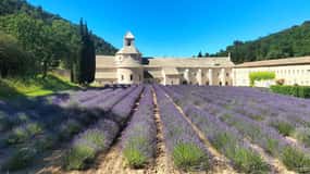 Pearls of Luberon: Gordes, Rousillon & Senanque private trip