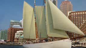 Boston: Sejlads med havnechampagne i solnedgang fra Rowes Wharf