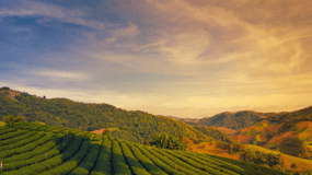 From Chiang Mai: Customize Your Northern Thailand Itinerary