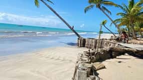 Maceió: Excursión a la Playa de Ipioca (Hibiscus Beach Club)