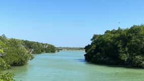 Naturalne doświadczenie Rio Lagartos i Las Coloradas.