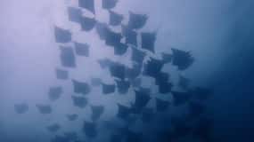 Tamarindo: Private Snorkeling Boat Charter Guanacaste