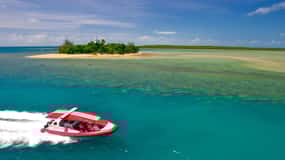 Port Douglas: Douglas Douglas: Low Isles Reef Snorkeling Tour