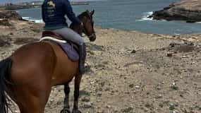 3 horas de Ruta a Caballo por la Costa