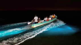 Excursión Bioluminiscencia - Bocas del Toro