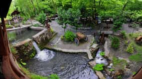 Sapanca Maşukiye Tour ab Istanbul
