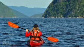 15 min. Tadoussac : Aventure en kayak de mer avec guide