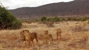2-Days Wildlife Safari to Tsavo East & Tsavo West Park
