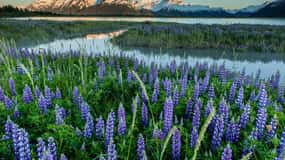 Anchorage: Turnagain Arm Highlights Photography Day Trip