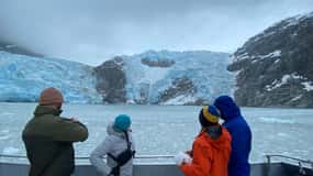 Seward: Full-Day Northwestern Fjord Glacier & Wildlife Tour