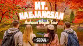 Seoul: Naejangsan National Park Autumn Foliage One Day Tour