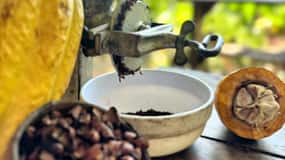 Cacao Experience Tour