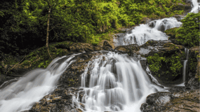 Touristic Highlights of Coorg (Guided Full Day Tour by car)