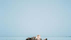 PREMIUM TOUR SMALL GROUP Bucharest-The Heart of Danube Delta