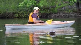Ottawa: Ecological Reserve Kayak Tour with Turtle Sightings