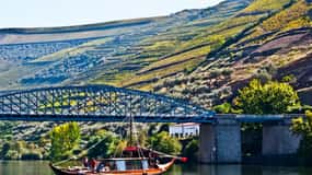 Do Porto: Viagem de 1 dia ao Vale do Douro