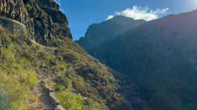 Tenerife: Barranco del Infierno Guided Hiking Tour