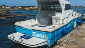 DAILY CHARTER OF THE EGADI ISLANDS WITH TASTING ON BOARD