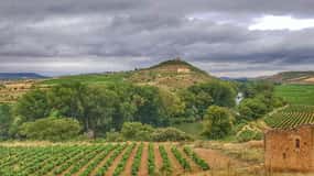 RIOJA: WINE TOUR CON EL PROPIETARIO DE UNA BODEGA