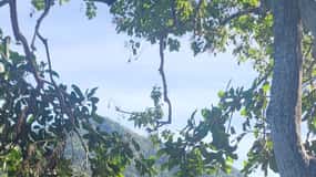 Puerto Vallarta : randonnée dans la jungle et sur le littoral le long de 6 plages