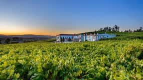 Granbazán Winery: Guided Tour and Wine Tasting