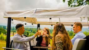 Tour privato Tuk Tuk di Ginevra con fonduta e vino