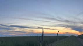 A provençal picnic at sunset in the lavender fields