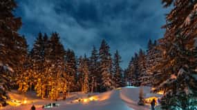 Bend: Cascade Mountains Snowshoeing Tour and Bonfire