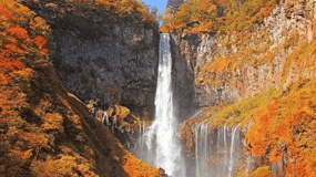 Da Tokyo: tour privato personalizzato a Nikko con autista inglese
