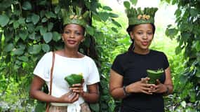 Zanzibar: Tour della fattoria delle spezie, del giardino delle farfalle e della spiaggia di Mtende