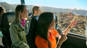 Der Berg Teide: Tagestour zum Vulkan Teide ohne Seilbahn