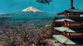 From Tokyo: Mt. Fuji And Hakone Private Sightseeing Day Trip