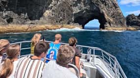 Vanuit Paihia: Rondvaart met tussenstop op Roberton Island